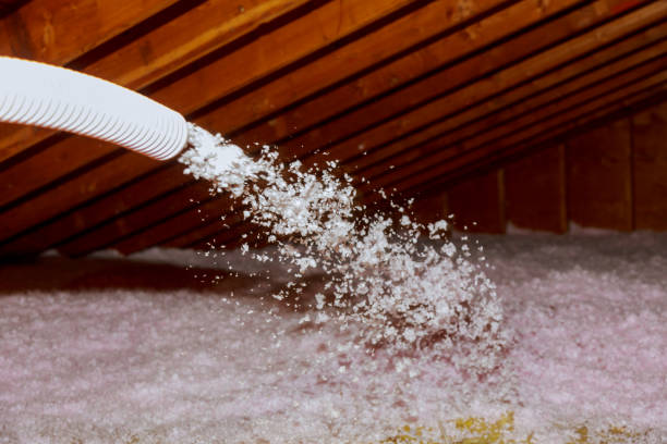 Best Geographic-Specific Insulation Services in Middleport, OH